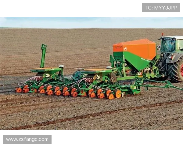 Cargo短片：不止于“装载”，更是灵感的“播种机”