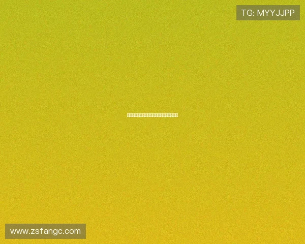 佐藤江梨花:镜头之外的温柔力量与无限可能